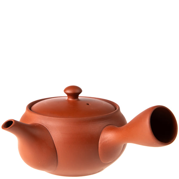 Tokoname Kyusu Teapot (Japanese Teapot)