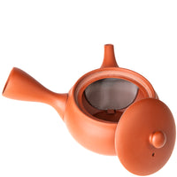 Tokoname Kyusu Teapot (Japanese Teapot)