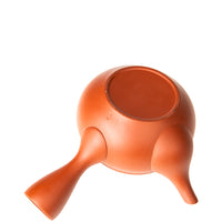 Tokoname Kyusu Teapot (Japanese Teapot)