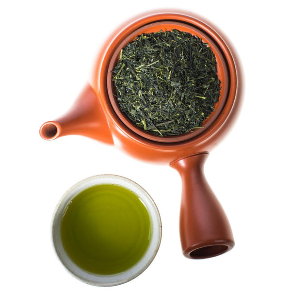Gyokuro Hoshino