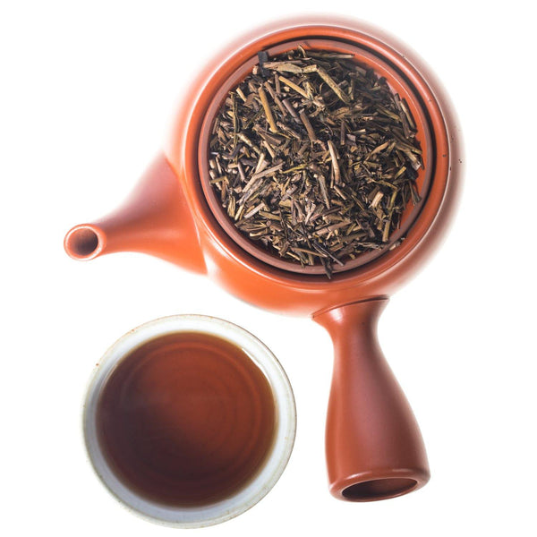 Hojicha Japanese Green Tea